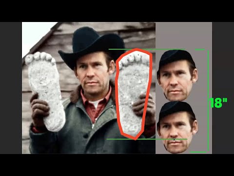 Measuring Patterson Bigfoot with her own foot   UPDATE