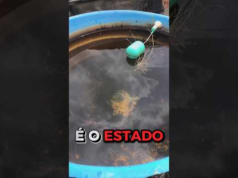 Não Acredito que Achei isso na Minha Caixa d’água!🤯