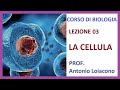 Cell Biology Concepts and Structures