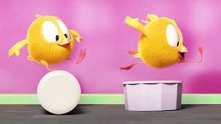 A Pista de Obstáculos do Chicky | Onde está Chicky? | Coleção desenhos animados Infantil