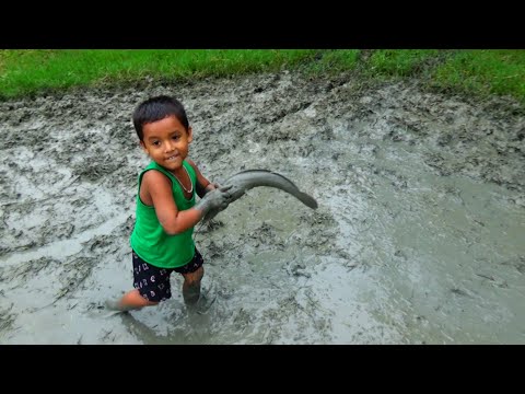 Amazing Boy Catching Big Catfish In Mud Water || Hand Fishing For Catfish