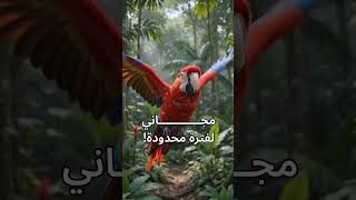 توليد الفيديوهات مع Gemini Omni مجانًا!