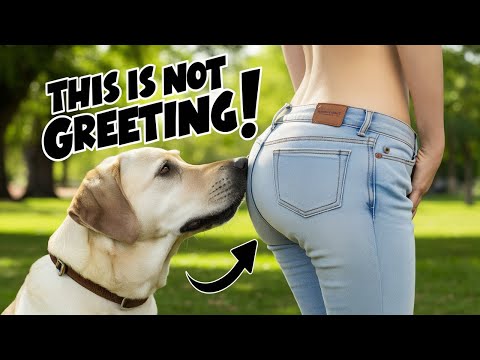 DOGS SNIFFING BUTTS: The Shocking Truth About This Bizarre Behavior! 🐶