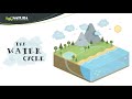 Water Cycle Processes and Concepts