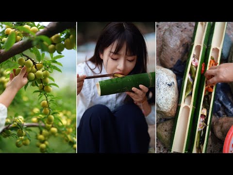 Beautiful Nature with Rural Life - Harvest fresh plums and steam fish in a bamboo tube