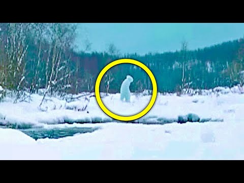 Los Científicos Creían Haber Filmado Una Cabra En El Bosque De Chernóbil ¡No Creerás Lo Que Es!