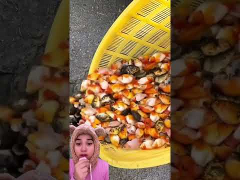 mau diapakan ikan sebanyak itu ?? #dubbing #funny #shortvideo