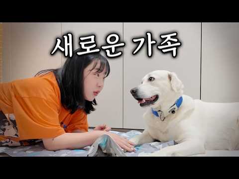 새로운 가족을 소개합니다..!