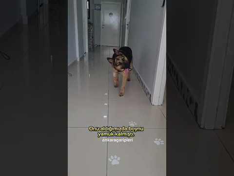 Hayat kurtarmaya devam ediyoruz. Bizi instagram takip etmeyi unutmayın.