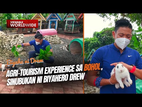 Agri-tourism experience sa Bohol, sinubukan ni Biyahero Drew | Biyahe ...