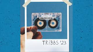 Tribbs - Without You (Dan Price (PL) Remix)