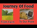 Crop Harvesting and Storage Practices