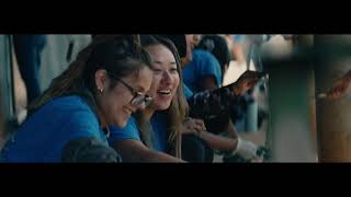 Paradise Strong - Comcast Cares Day 2019