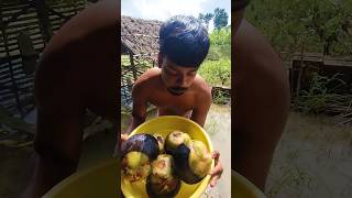 তোমাদের দাদাভাই কত তাল পেয়েছে দেখো #shorts
