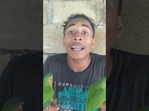 jajaja buenísimo #humor #comedy #shorts #viral