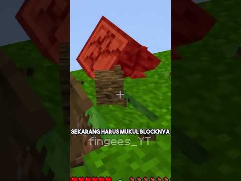 Mod Aneh Apa Lagi Ini