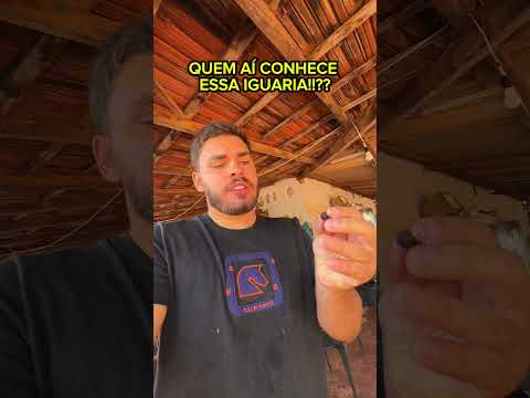Iguaria do interior! Você sabe o nome!?😋😋😋