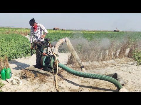 किसान अपनी खेती में किस प्रकार से वाटर पंप डीजल इंजन द्वारा सिंचाई करता है बहुत मेहनत करते हैं किसान