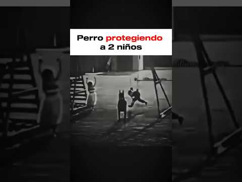 Perro protegiendo a dos niños #perros #defensapersonal