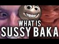 Understanding the Sassy Baka Meme