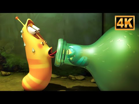 Larva Mosca Show De Desenho Animado e Animação por Larva