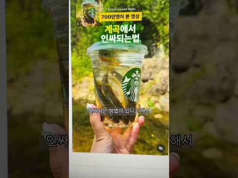 계곡가서 인싸되는 방법! #낚시 #통발 #제발잡혀라