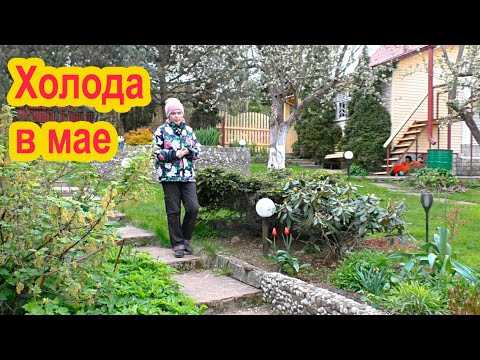 Холода в мае. Как быть с посадками?