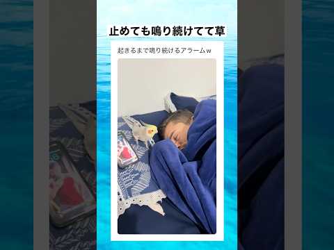 これで遅刻知らず！！　#shorts #動物 #おすすめ