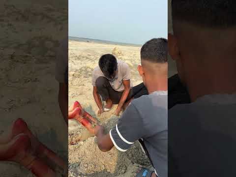Tom and Jerry 🤣#shortsfeed #shortsvideo #shortsviral