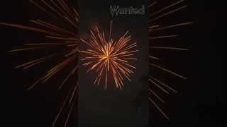 Oscar 24 shot setout  Inf Mr.big fireworks Indian national fireworks