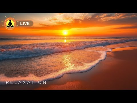 🔴 Sunset Relaxation Music 24/7 - Ocean Waves Meditation | Stress Relief Music for Spa & Meditation