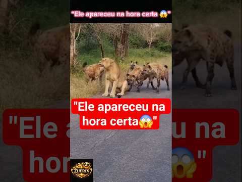 Ele apareceu na hora certa.. #memes #humor #animais