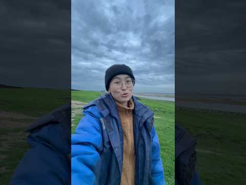 Без трактора никак