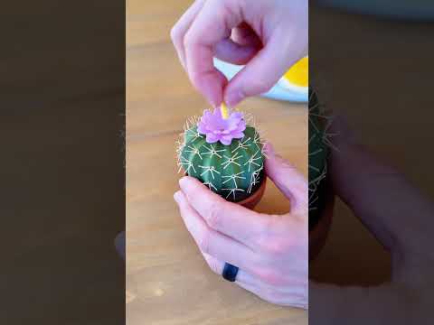Top 5 3D Printed Kitchen Hacks