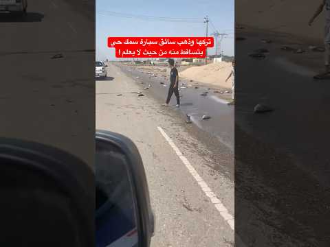 تركها و ذهب ! سائق سيارة سمك حي تساقطت منه الاسماك من حيث لا يعلم #العراق #اكسبلور