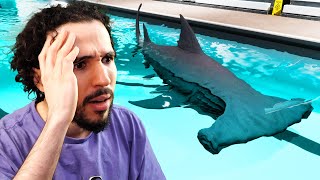 IL Y A UN REQUIN DANS LA PISCINE ! (Sharks and Minnows)