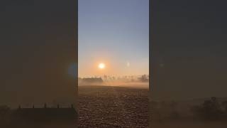 foggy Vista, early morning sunrise. Use this for art reference!  #art #gamedev #3d #sunrise #fypシ ￼