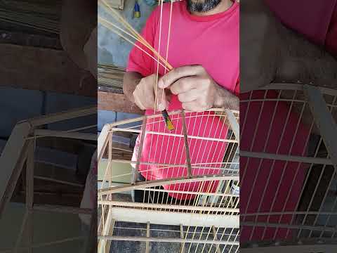 Cortando a fibra da gaiola #gaiola #aves #pássaros #artes
