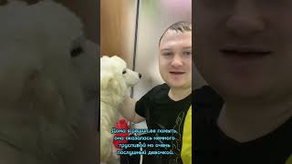 Не оставляйте в беде и не проходите мимо! Будьте добрее.🙏😇❤️