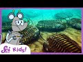 Exploring the Past with Squeaks