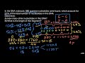DNA Composition and Base Pairing