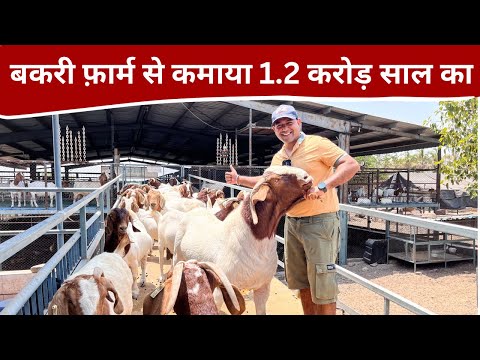 IT की जॉब छोड़कर बकरी फ़ार्म से कमा रहे करोड़ो || Modern goat farming in india