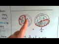 Adding and Understanding Fractions
