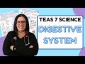 Functions of the Human Digestive System