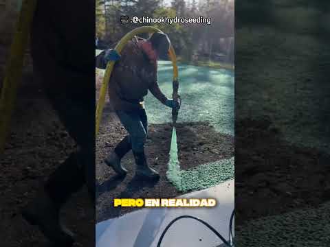 ¡Parece pintura… pero crece césped!