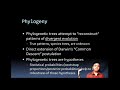 Phylogenetic Concepts and Evolutionary Relationships