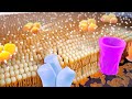 Neuronal Function and Signaling Concepts