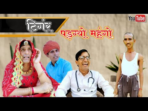 टिगर पडग्यो महंगों || Rajasthani Haryanvi comedy video || Funny video || Viral video || Murari Lal