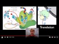 Transcription Translation Techniques from Bozeman Science