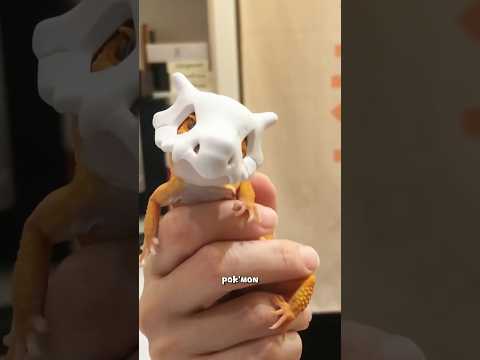 Leopard gecko #animals #cute #leopardgecko